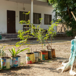 Tales of the Djibouti By Camille Massida